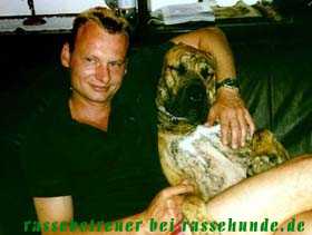 Fila Brasileiro - schmusend mit dem Herrchen, Herrn Christian Polster, rassebetreuer bei rassehunde.de