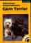 'Hundebcher: Der Cairn Terrier